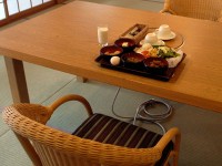 ichinobo_asa ichinobo_asa