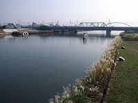 shin_naka_river