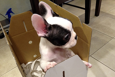 ohana_1st_birthday_5